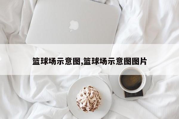 篮球场示意图,篮球场示意图图片