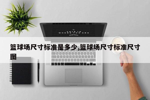 篮球场尺寸标准是多少,篮球场尺寸标准尺寸图