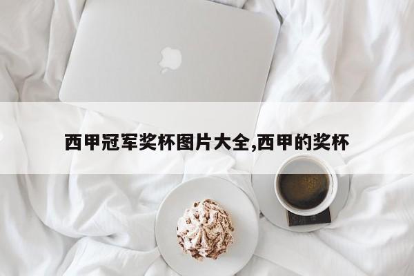 西甲冠军奖杯图片大全,西甲的奖杯